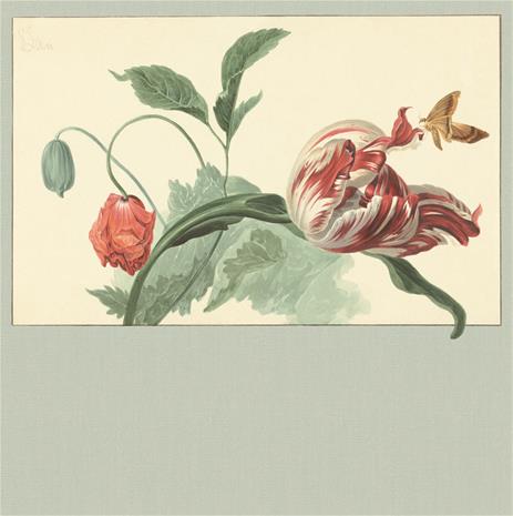 Masterpiece - 358119 Tapetti