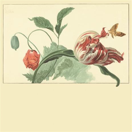 Masterpiece - 358118 Tapetti