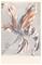 Masterpiece - 358116 Tapetti – kuva 2