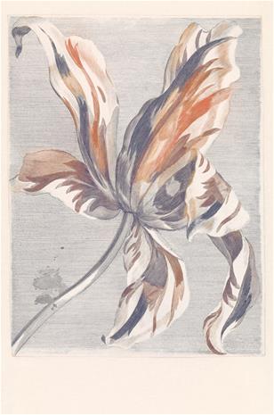Masterpiece - 358116 Tapetti