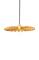 Globen Lighting Omega 35, riippuvalaisin – kuva 1
