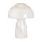 Globen Lighting Fungo Table Lamp – kuva 7