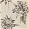 Evelyn - ZTOT312734 Tapetti – kuva 1