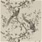 Darnley - ZDAR312849 Tapetti – kuva 1
