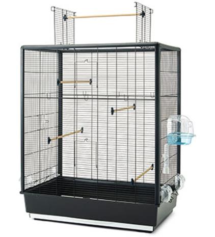 Savic Primo 60 Extra - P 80 x L 50 x K 95 cm