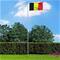 vidaXL Belgian lippu 90x150 cm – kuva 1