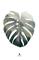 Malerifabrikken Juliste Monstera leaf – kuva 1