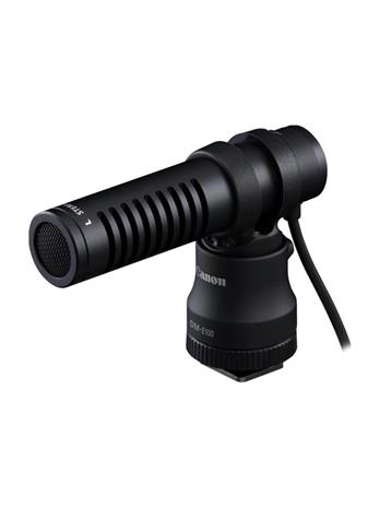 Canon DM-E100, mikrofoni