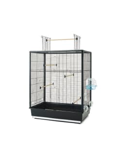 Savic Primo 60 Extra - P 80 x L 50 x K 95 cm