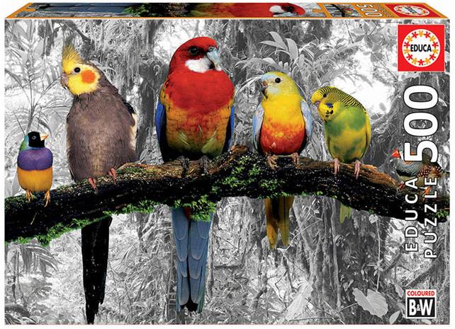 Educa 500 Birds Colour Black & White