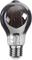 Star Trading LED lamp E27 TA60, Plain Smoke – kuva 7
