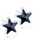 Blomdahl Star korvakorut – kuva 6
