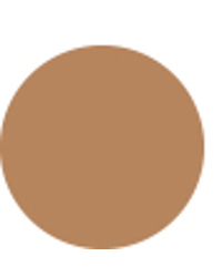 Sensai Cellular Performance Cream Foundation - Cf24 Amber Beige