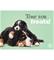 Studio Pets berninpennut tabletti – kuva 3