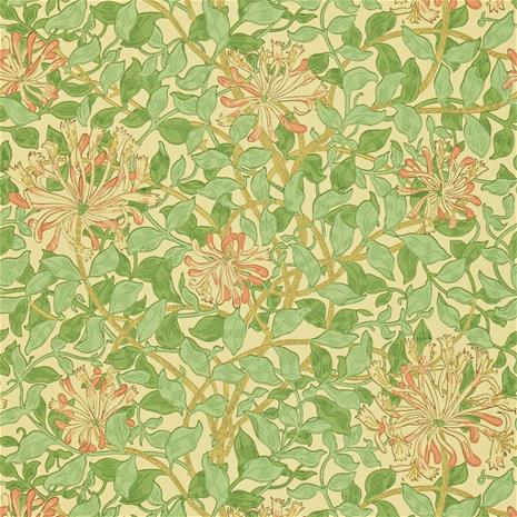 Honeysuckle Green/Beige/Pink - DMC1HS103 Tapetti – kuva 1/6