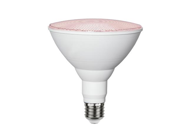 LED-kasvilamppu E27 PAR38 16W 1200lm
