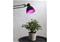 LED-lamppu kasveille E27 6,5 W – kuva 1