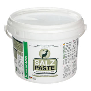 DEUSA Salz Paste 2kg
