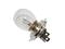 Sno-X 12V 60/60W P43T polttimo – kuva 1