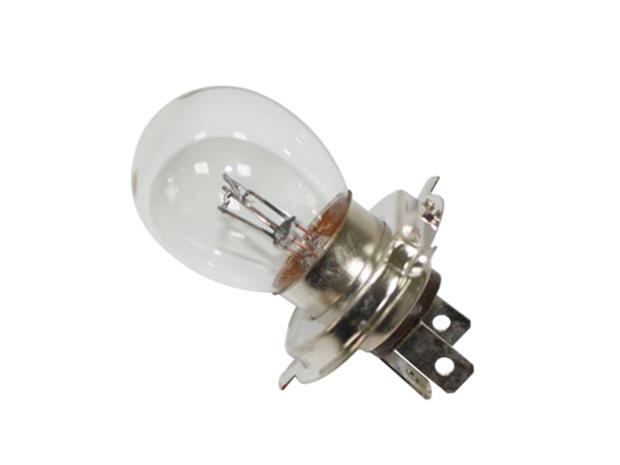 Sno-X 12V 60/60W P43T polttimo – kuva 1/4