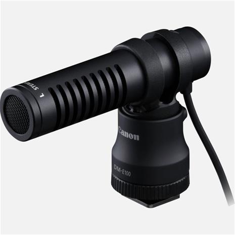Canon DM-E100, mikrofoni