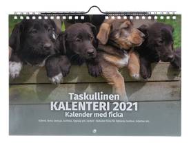 Taskullinen kalenteri koirat