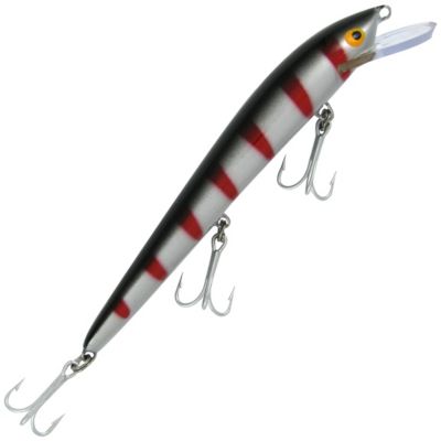 Nils Master Invincible 15 cm vaappu