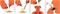 Light My Fire FireSteel BIO Scout – kuva 8