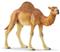 Schleich Wild Life 14832, Dromedary – kuva 3