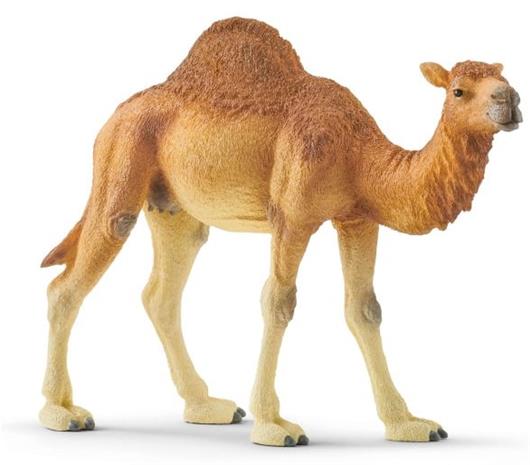Schleich Wild Life 14832, Dromedary