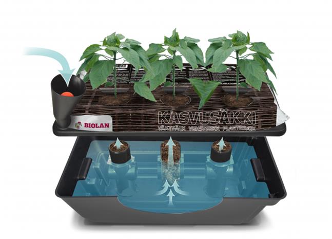 Biolan Kasteluallas – kuva 5/8
