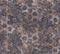 New Walls - 37391-4 Tapetti – kuva 1