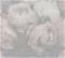New Walls - 37392-3 Tapetti – kuva 1