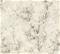 New Walls - 37420-2 Tapetti – kuva 1
