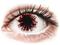 Gelflex CRAZY LENS - Harlequin Black - piilolinssit tehoilla (2 kpl) – kuva 3