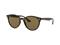 Ray-Ban RB 4305 710/73, Aurinkolasit – kuva 5