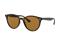 RayBan 4305 Havana – kuva 8