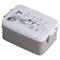 Muumi Eväsrasia, Harmaa – kuva 6