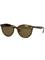Ray-Ban RB 4305 710/73, Aurinkolasit – kuva 6