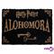 Harry Potter Alohomora, ovimatto – kuva 6