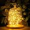 Valonauha 10 m, 100 led – kuva 8