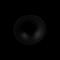 Hide-a-Lite Optic Deep XS Eturengas musta – kuva 1