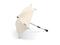 Bugaboo Aurinkovarjo, Fresh White - valkoinen – kuva 8