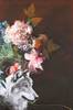 Juliste Wild Couture 2 – kuva 1/4