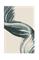 Juliste Brushed 8 – kuva 1
