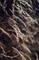 Juliste Mellow grasses 7 – kuva 1