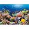 Castorland, Palapeli - Coral Reef - 1000 Kappaletta – kuva 1