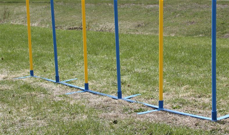 Aksa 6 kpl 60 cm agilitykepit taittorungolla