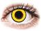 Gelflex CRAZY LENS - Yellow Twilight - piilolinssit tehoilla (2 kpl) – kuva 4