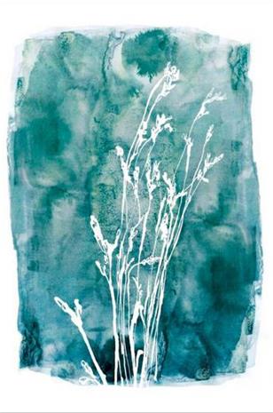 Juliste Grass 3